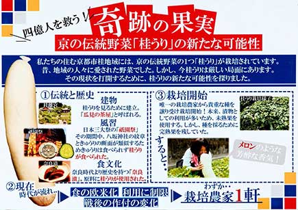 『四億人を救う!奇跡の果実 京の伝統野菜「桂うり」の新たな可能性』